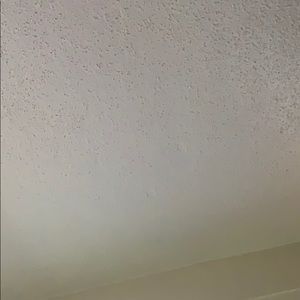 Meet your Posher, Shanese